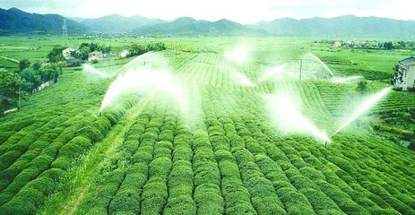 節水蜜桃亚洲AV无码一区二区三区
